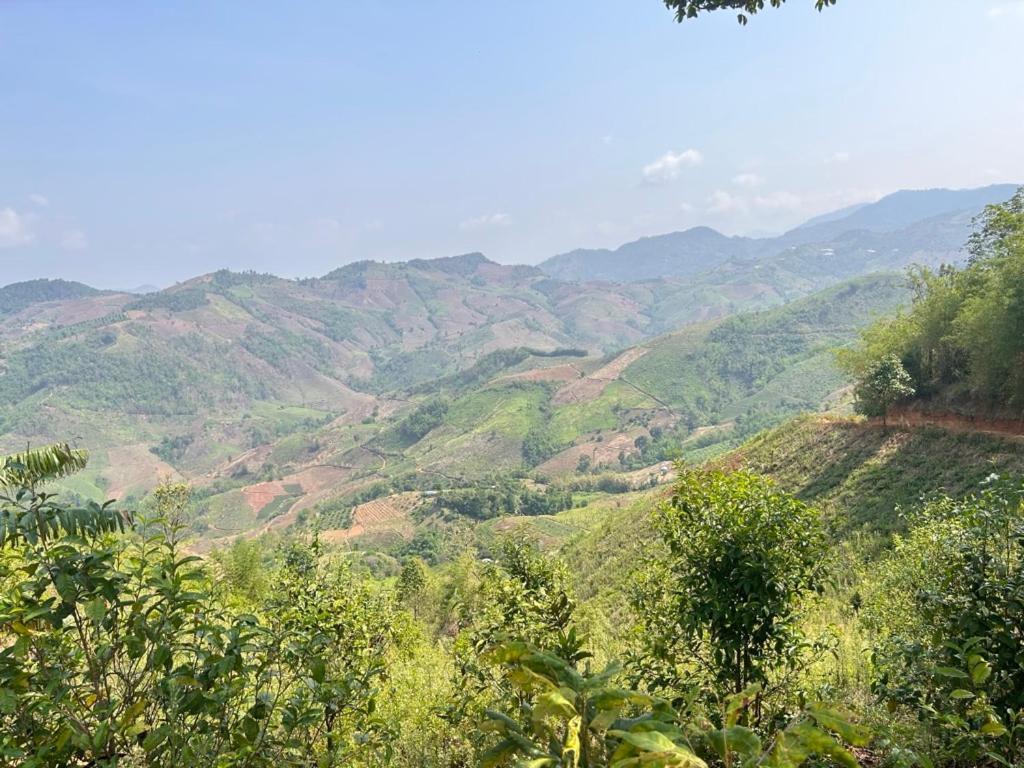 My Story Doichang Chiangrai Ban Huai Khai 外观 照片